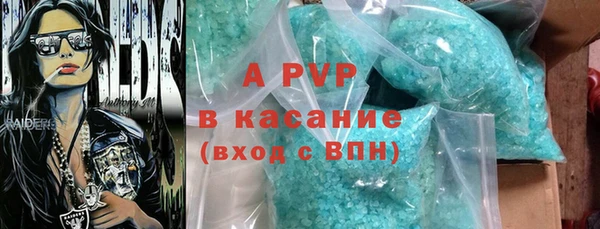 дмт Дмитриев