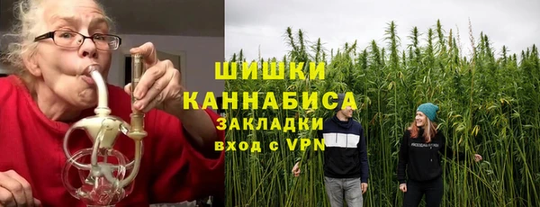 дмт Дмитриев