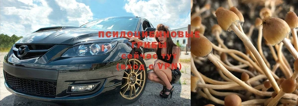 каннабис Великий Новгород