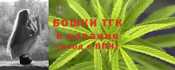 дмт Дмитриев