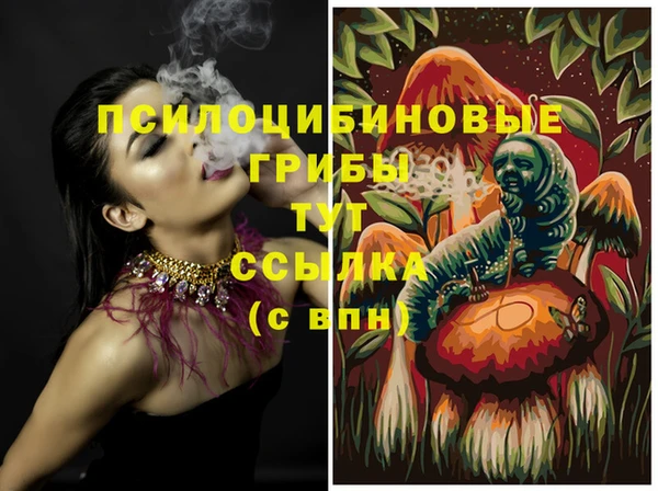 ГАЛЛЮЦИНОГЕННЫЕ ГРИБЫ Дмитровск