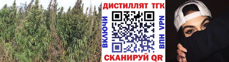 Дистиллят ТГК жижа Чита
